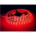 Environment-Friendly 60 LED 5050 SMD Waterproof LED Strips, Funky Ligh